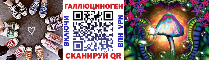 Галлюциногенные грибы Magic Shrooms  где найти   Игарка 